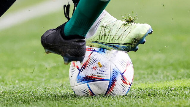 Österreichische Bundesliga: Die aktuelle Tabelle