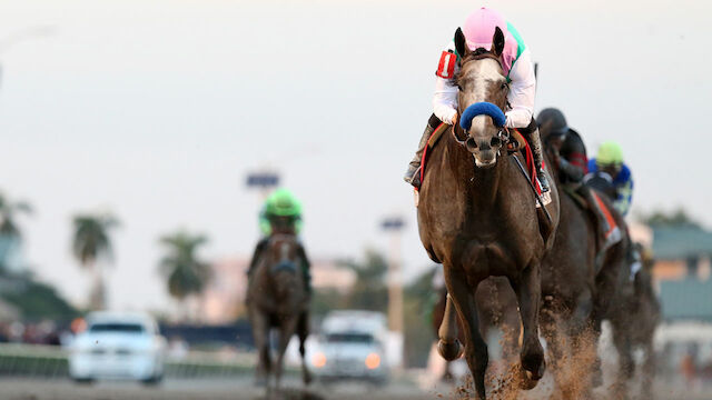 Arrogate gewinnt Stronach-Rennen