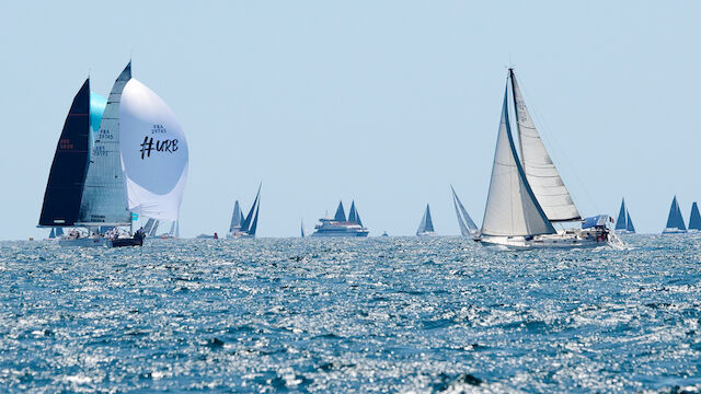 Nicht zum ersten Mal: Orca-Attacke bei Mallorca-Regatta