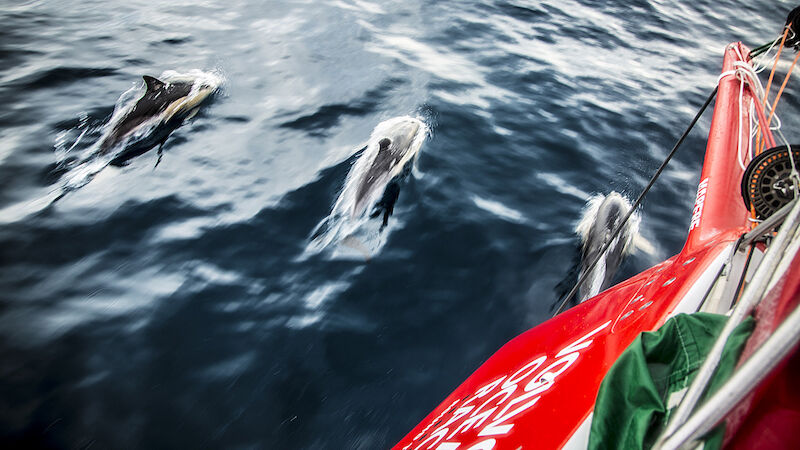 Slideshow Bild
