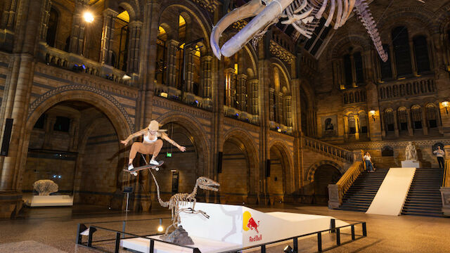 Naturgeschichte meets Trendsport - Skate-Bilder im Museum