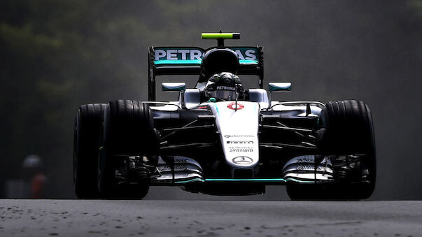 Rosberg sichert sich Pole in Ungarn