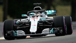 Hamilton gewinnt in Frankreich