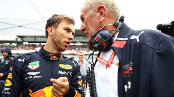 Gasly wieder zu Red Bull? Helmut Marko bremst