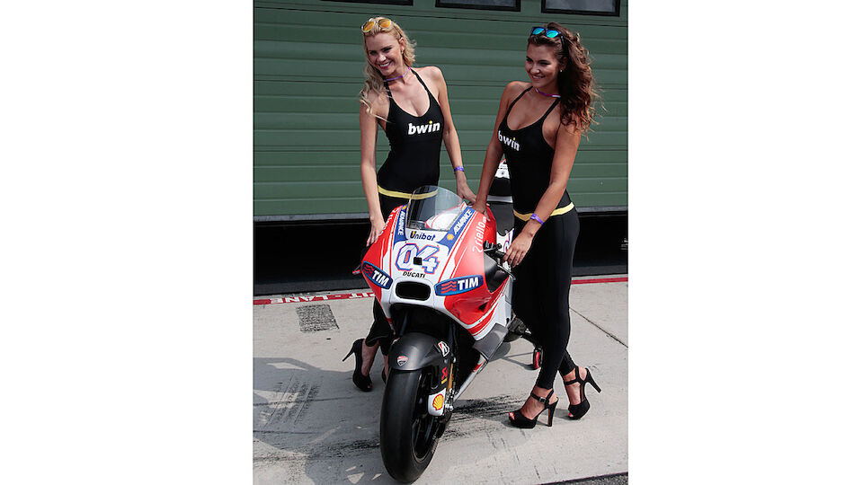 MotoGP Girls 2015