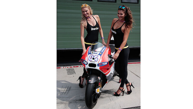 Slideshow Bild