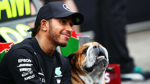 Lewis Hamilton trauert um Hund Roscoe