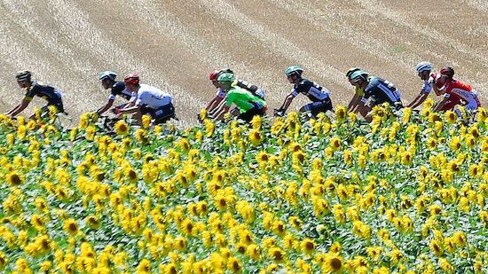Tour de France: Froome stürzt auf der 1. Etappe