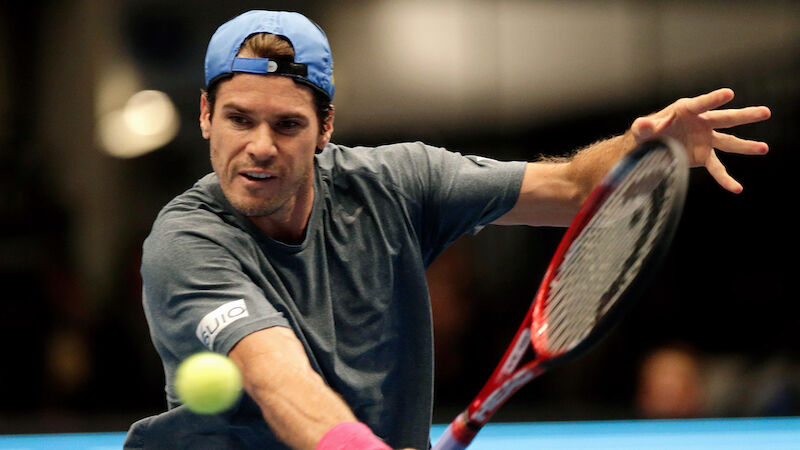 2013 - Tommy Haas (GER)