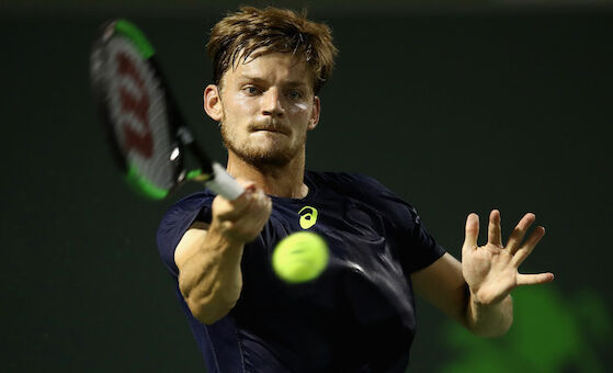 Goffin lässt Lorenzi keine Chance