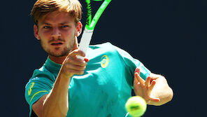 Goffin triumphiert auch in Tokio