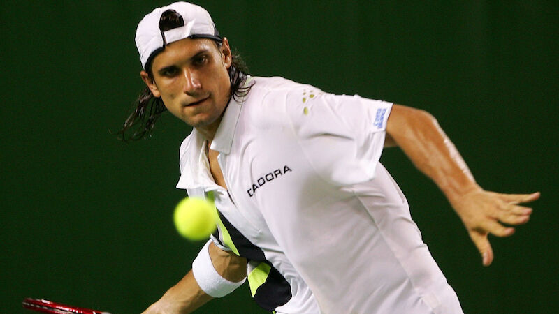 #13 - David Ferrer (ESP)