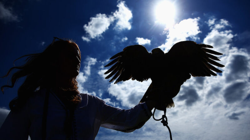 Slideshow Bild