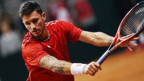 Novak schafft Davis-Cup-Ausgleich