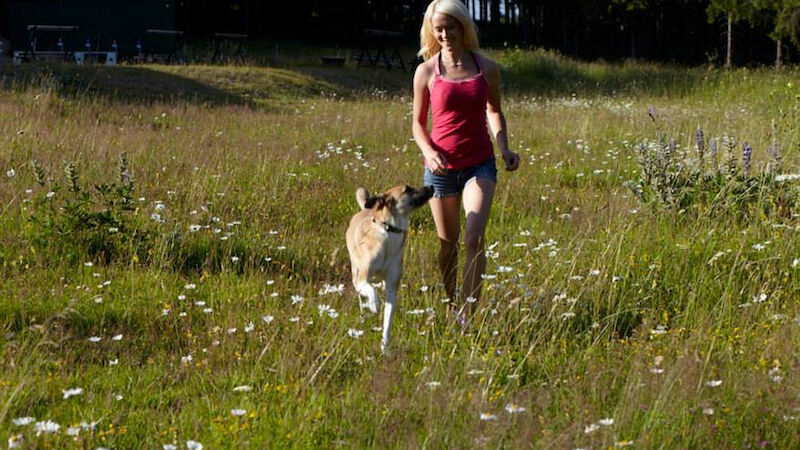 Slideshow Bild