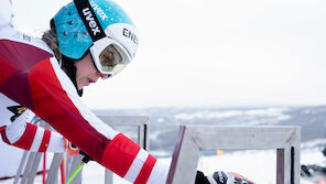 Skicross: Österreichische Routine der Schlüssel?