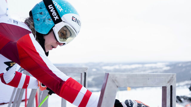 Skicross: Österreichische Routine der Schlüssel?