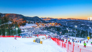 Wirbel um Semmering-Plakat mit nackter Skifahrerin