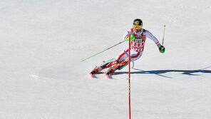 Hirscher am Podest vorbei