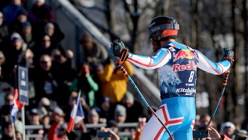 1. Cyprin Sarrazin