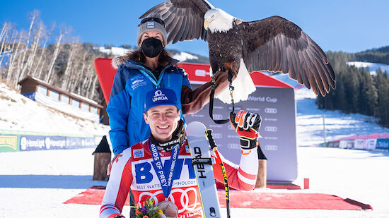 Matthias Mayer: Kilde ein