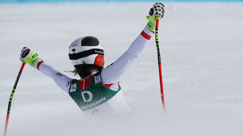 Slideshow Bild