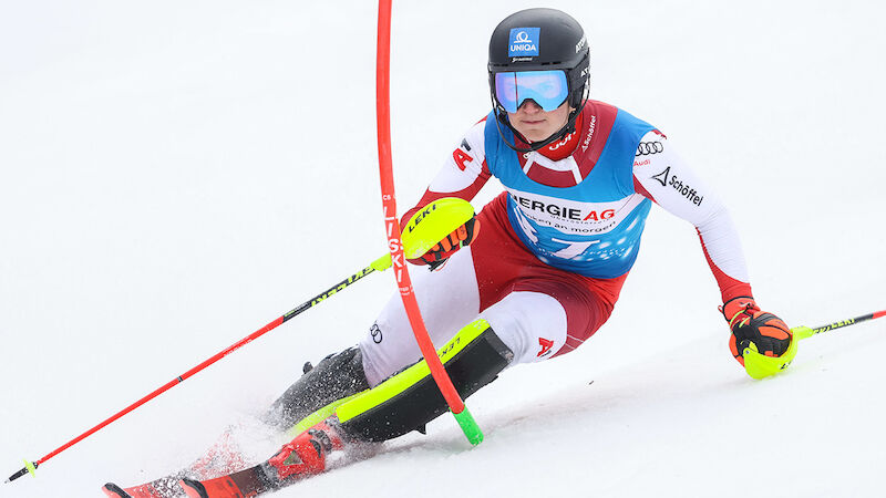 Stefan Schaidreiter (21)