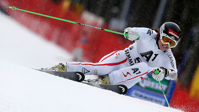 Slideshow Bild