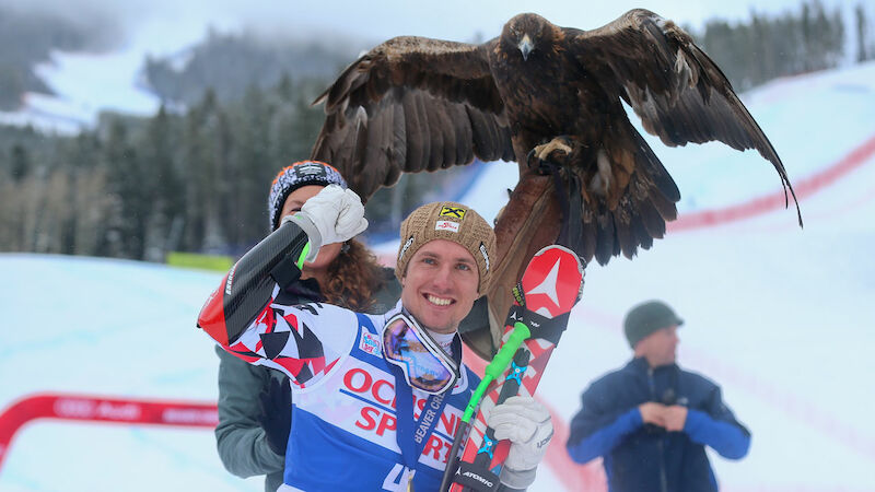 Slideshow Bild