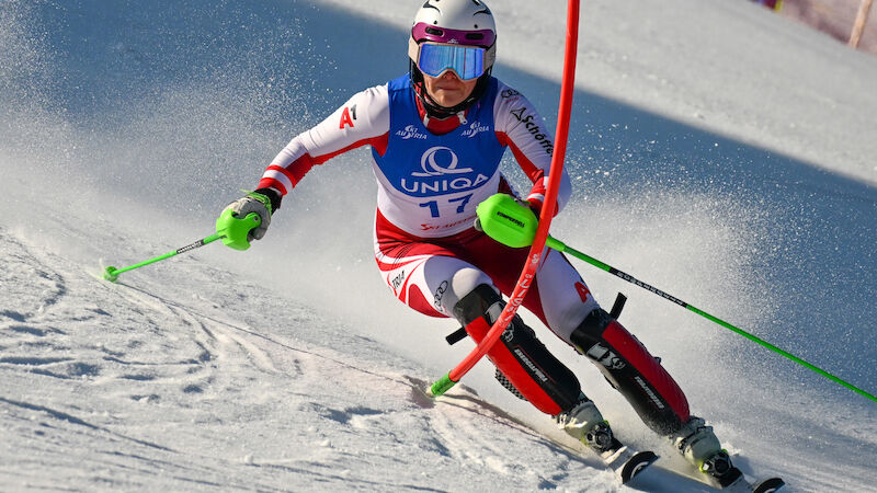 Slideshow Bild