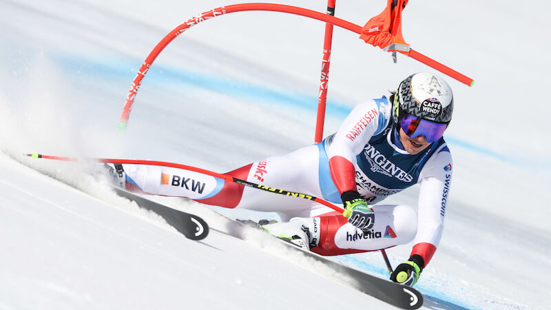 Slideshow Bild
