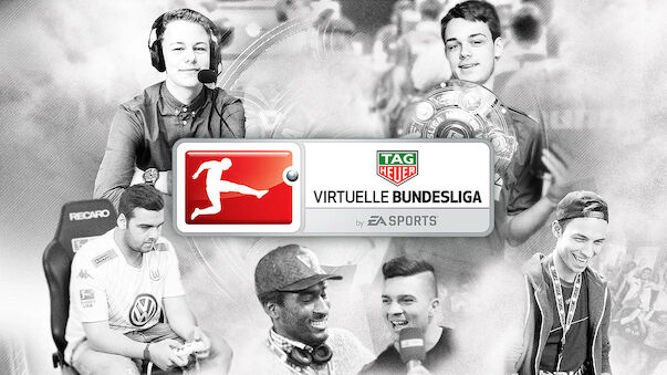 Die virtuelle Bundesliga 2017
