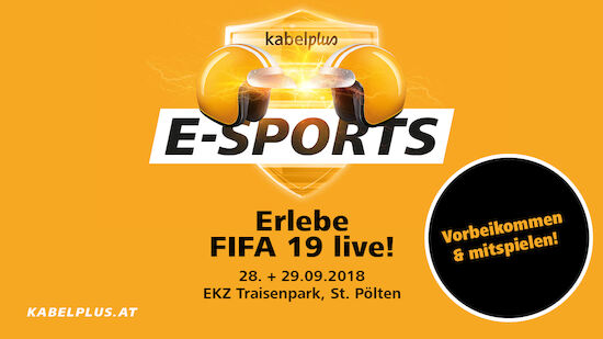 Erlebe FIFA 19 live!