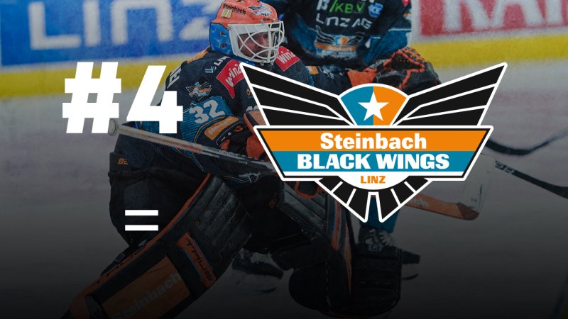 Black Wings Linz