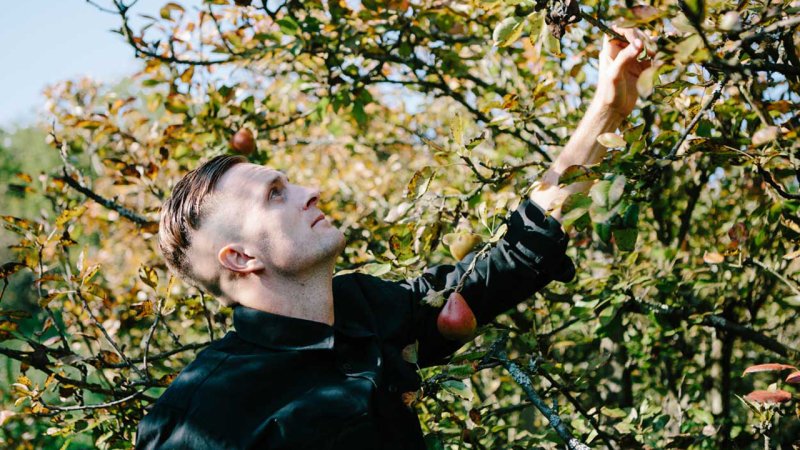 Side-Hustles: Vom idyllischen Obstgarten bis zum Partybus
