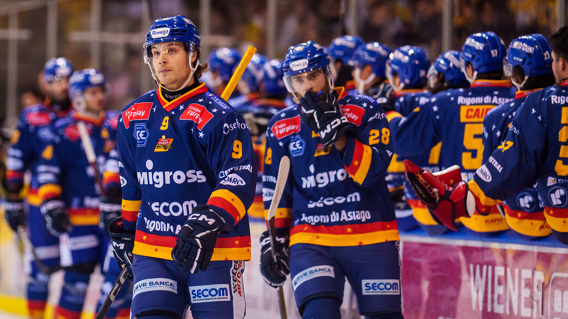 Ferencvaros & Asiago: Frischer Wind oder fauler Kompromiss?