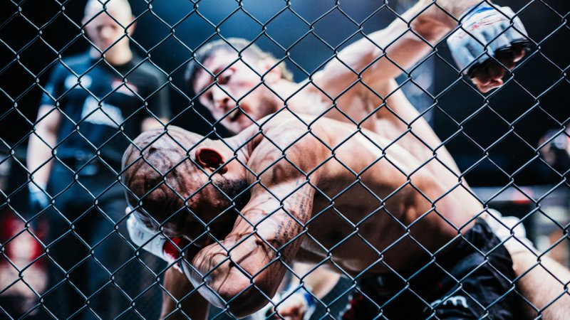 Vendetta Fight Nights: Fünf Titelkämpfe für den guten Zweck
