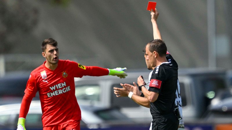 Hedl-Rot: So entscheidet der Strafsenat der Bundesliga