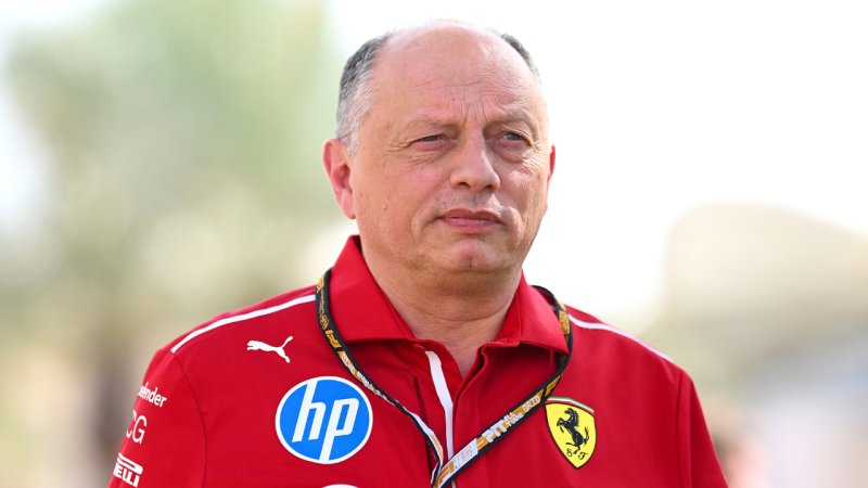 Zu "2000 Prozent": Vasseur stärkt Hamilton den Rücken