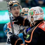 Trotz Auslandsangebote: Black Wings binden ihren "Sheriff"