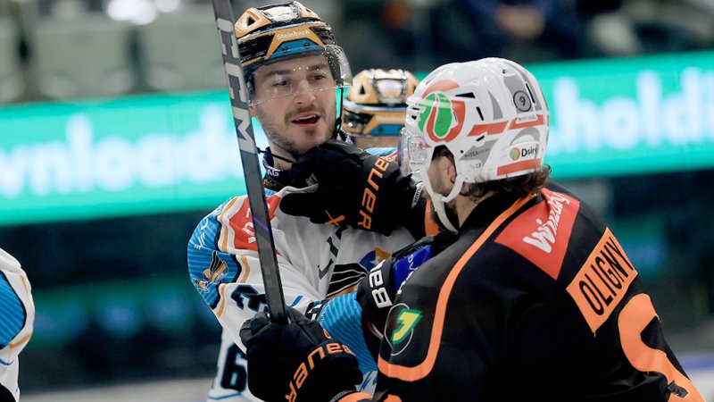 Trotz Auslandsangebote: Black Wings binden ihren "Sheriff"