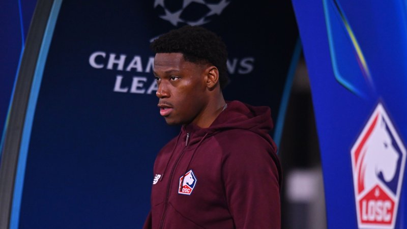 Internationales Interesse: David verlässt Lille