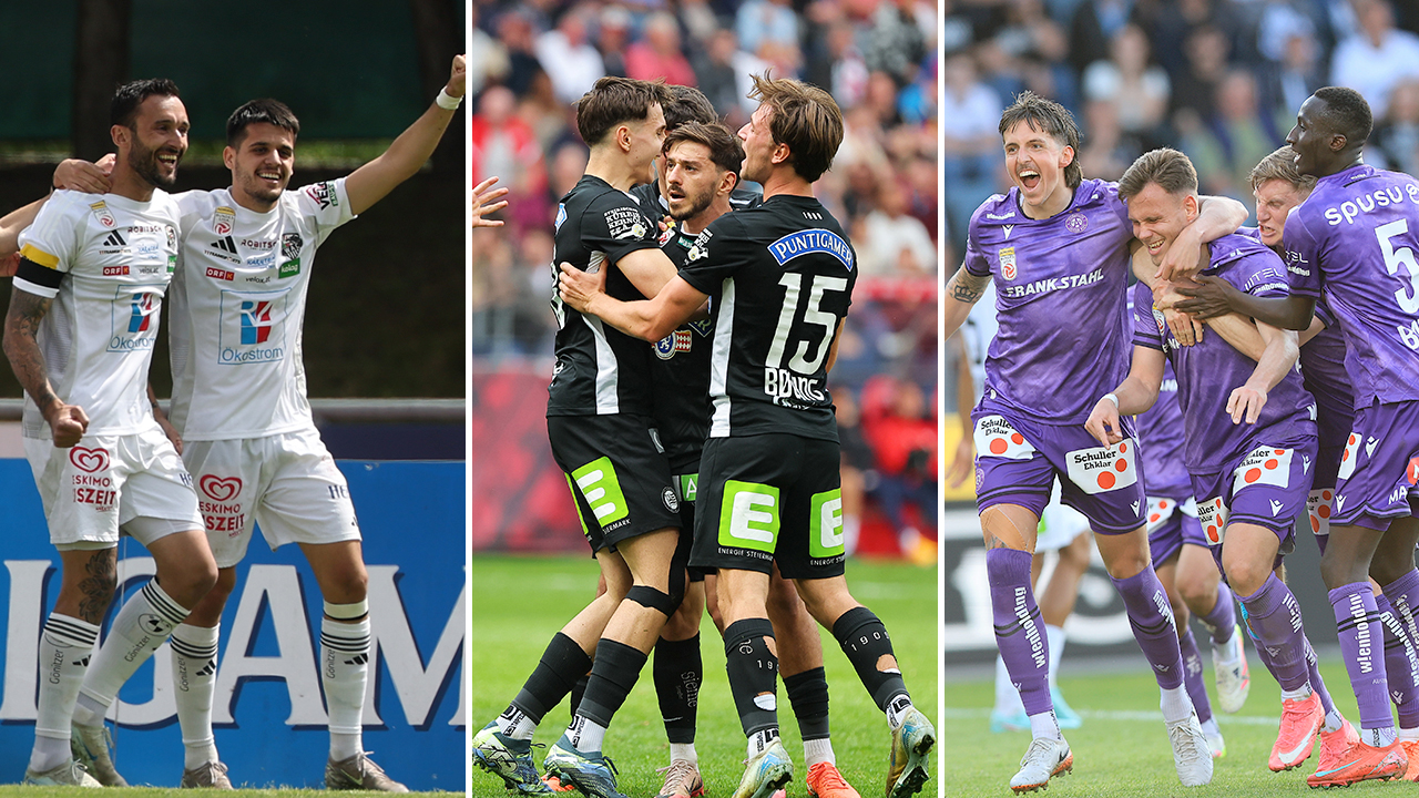 Wer wird Meister? Deine Stimme zählt!