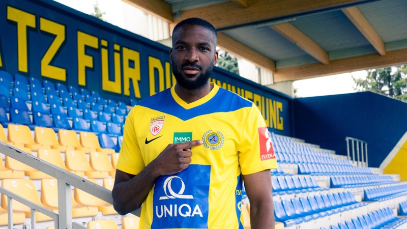 Vienna holt Verstärkung aus der Bundesliga