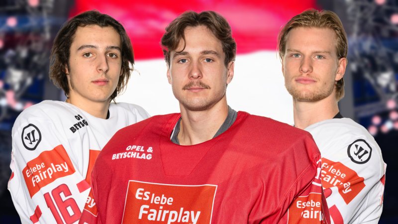 Wie sieht das ÖEHV-Team der Zukunft aus?