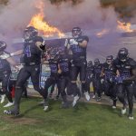 Revanche geglückt! Vikings in ELF auf Playoff-Kurs