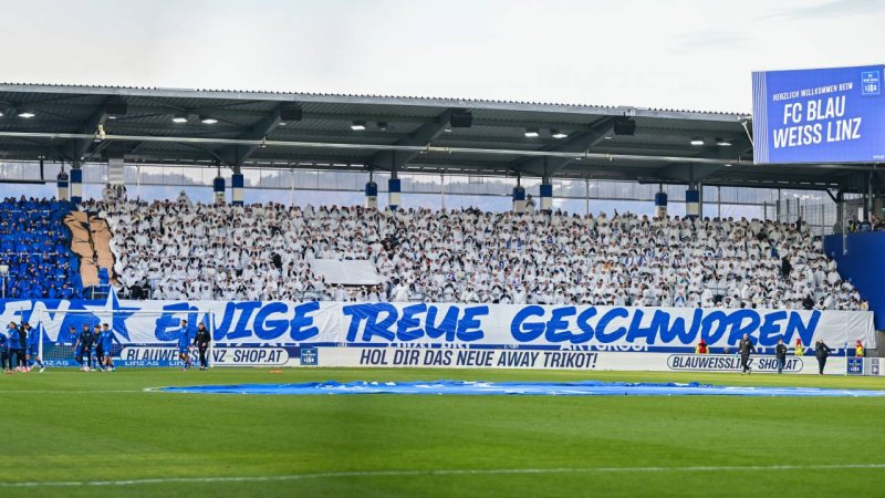 Die besten Heim-Choreos der Bundesliga-Saison 2024/25