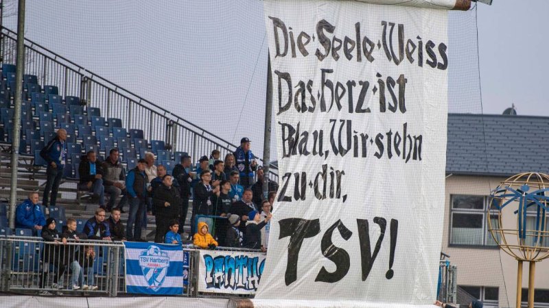 Die besten Heim-Choreos der Bundesliga-Saison 2024/25