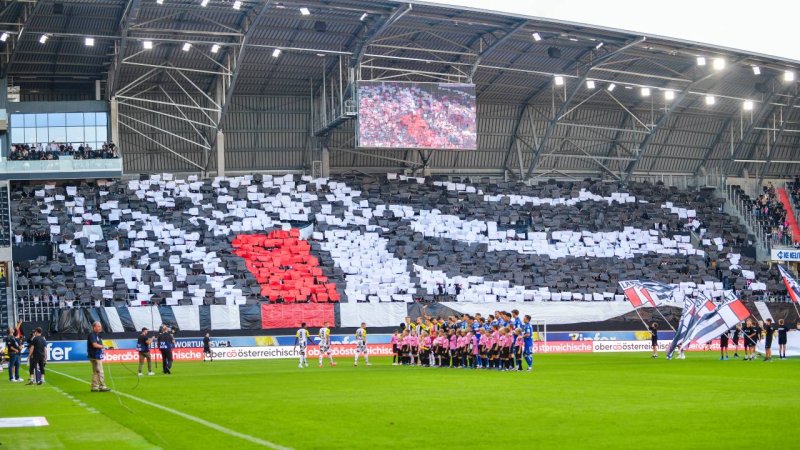 Die besten Heim-Choreos der Bundesliga-Saison 2024/25