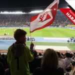 Die Euphorie braucht einen neuen Anschub